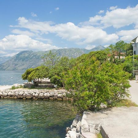 Villa Iva Kotor Buitenkant foto